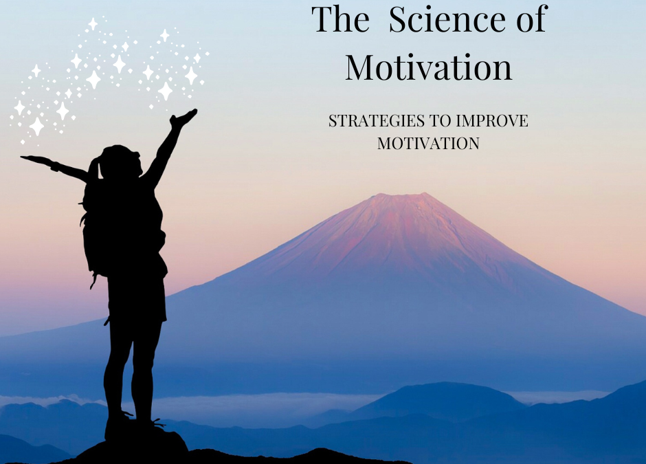 The Science of Motivation